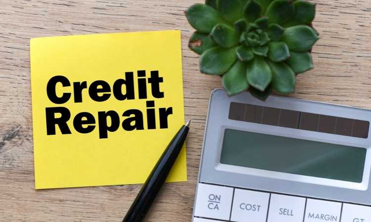 What Are Your Credit Repair Options based on your income